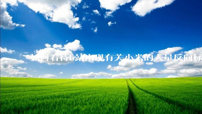 如何看待b站出现有关小米的大量反向标题，号称“薅千亿补贴”的现象？